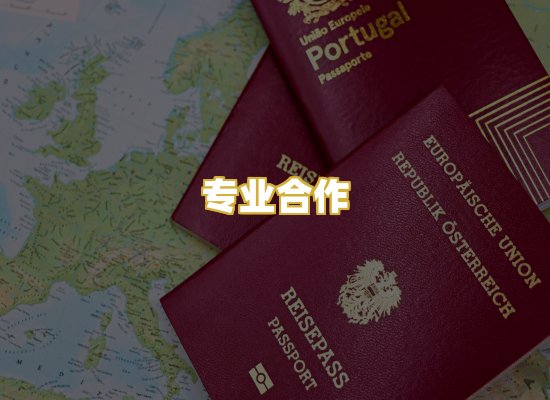 专业合作